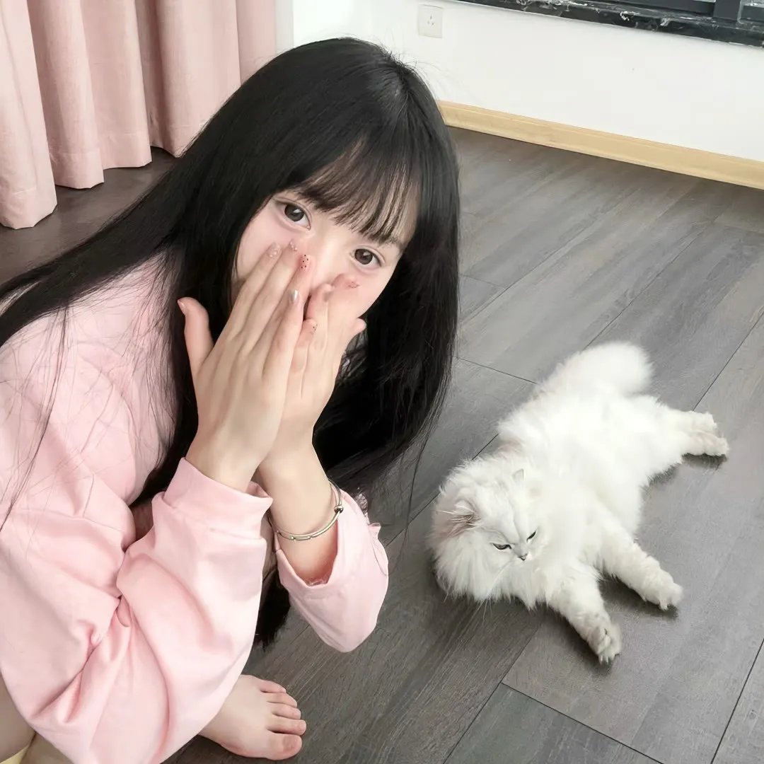 超完美杀手
