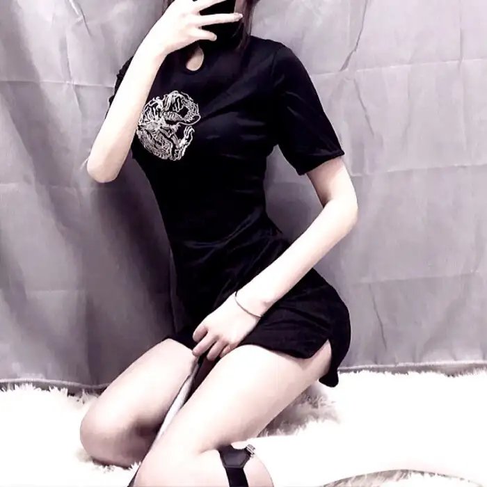 追梦小海豚