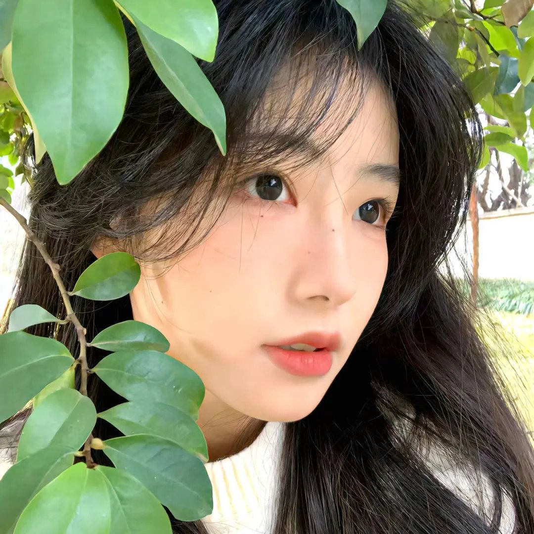 莺歌蝶恋
